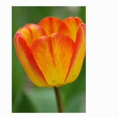 Orange Tulip M Small Garden Flag (two Sides)