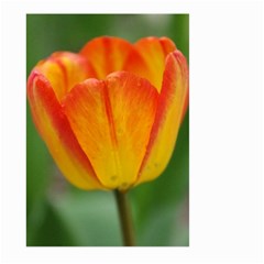 Orange Tulip M Large Garden Flag (two Sides)