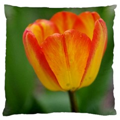 Orange Tulip Large Cushion Case (two Sides) by PhotoThisxyz