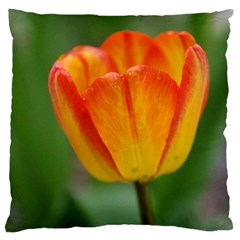 Orange Tulip Large Flano Cushion Case (one Side)