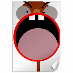 Funny Face Canvas 20  X 30  