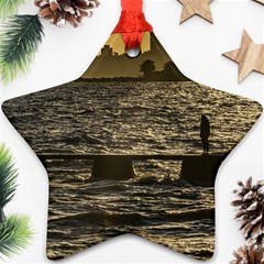 River Plater River Scene At Montevideo Ornament (star)  by dflcprints