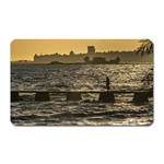 River Plater River Scene At Montevideo Magnet (Rectangular) Front