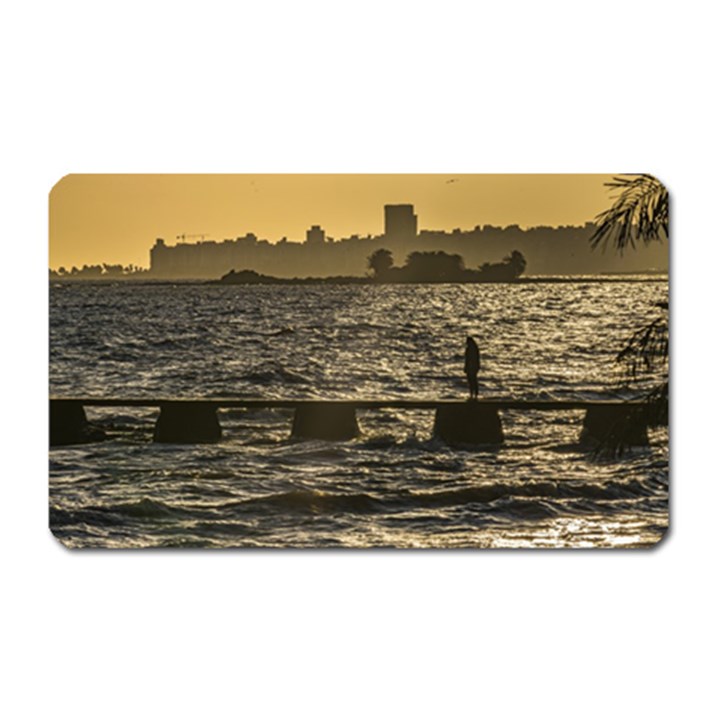 River Plater River Scene At Montevideo Magnet (Rectangular)