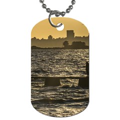 River Plater River Scene At Montevideo Dog Tag (one Side) by dflcprints