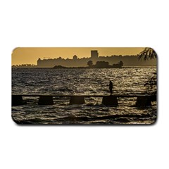 River Plater River Scene At Montevideo Medium Bar Mats by dflcprints