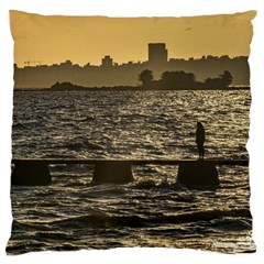 River Plater River Scene At Montevideo Large Flano Cushion Case (two Sides) by dflcprints