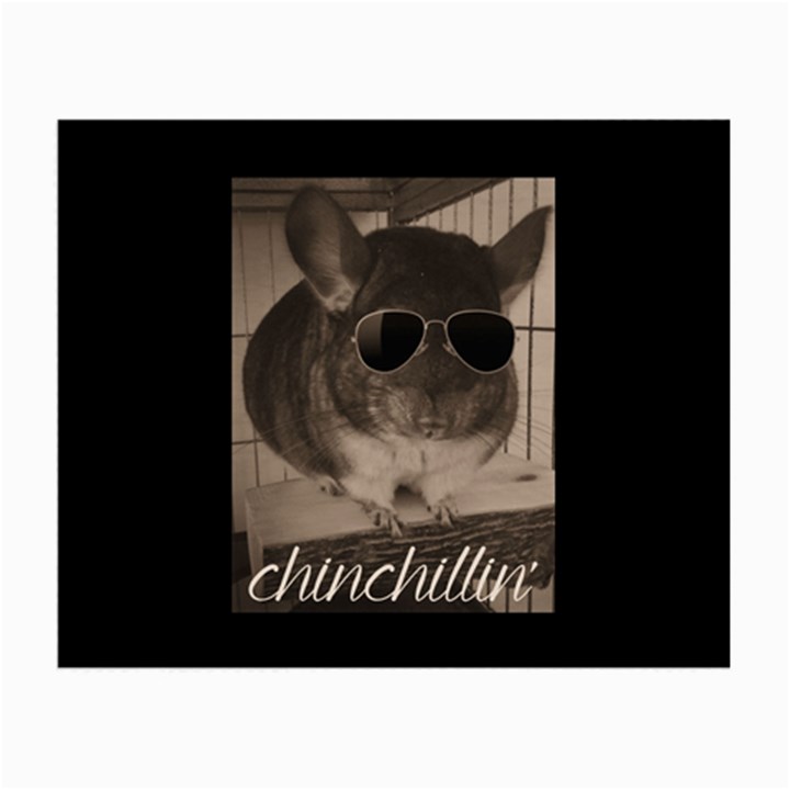 Maggie Chinchillin Small Glasses Cloth