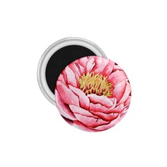 Large Flower Floral Pink Girly Graphic 1 75  Magnets by CraftyLittleNodes