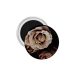 Roses Flowers 1.75  Magnets Front