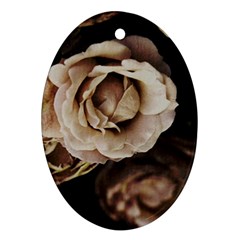 Roses Flowers Ornament (oval)  by vanessagf