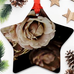 Roses Flowers Ornament (star) 