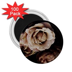 Roses Flowers 2 25  Magnets (100 Pack)  by vanessagf