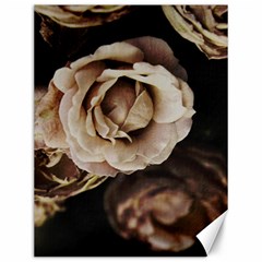 Roses Flowers Canvas 12  X 16   by vanessagf