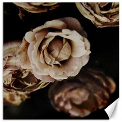 Roses Flowers Canvas 20  X 20   by vanessagf