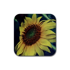 Sunflower Photography  Rubber Coaster (square)  by vanessagf