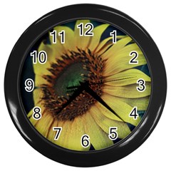 Sunflower Photography  Wall Clocks (black) by vanessagf