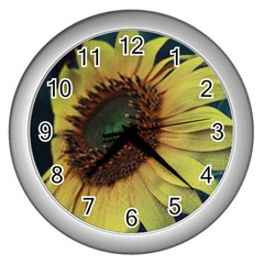 Sunflower Photography  Wall Clocks (silver)  by vanessagf