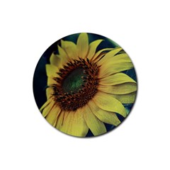 Sunflower Photography  Rubber Coaster (round)  by vanessagf