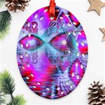 Crystal Northern Lights Palace, Abstract Ice  Ornament (Oval Filigree)  Front