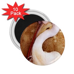 920-pelican 2 25  Magnets (10 Pack)  by PimpinellaArt