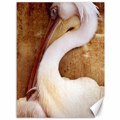 920-pelican Canvas 36  X 48  