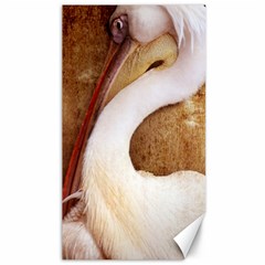 920-pelican Canvas 40  X 72  