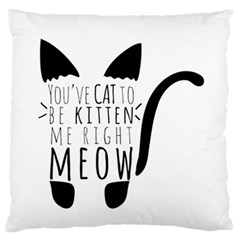 You ve Cat To Be Kitten Me Right Meow Standard Flano Cushion Case (two Sides) by TanyaDraws