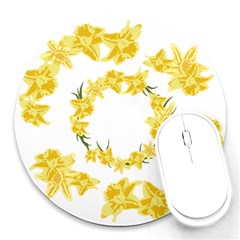 Daffodils Illustration  Round Mousepads