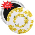 Daffodils Illustration  3  Magnets (100 pack) Front