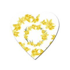 Daffodils Illustration  Heart Magnet by vanessagf