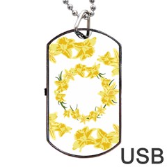 Daffodils Illustration  Dog Tag Usb Flash (two Sides)  by vanessagf