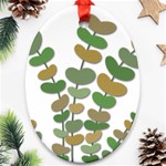 Green decorative plant Ornament (Oval)  Front