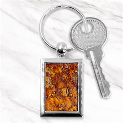 Rusted Metal Surface Key Chains (rectangle)  by igorsin