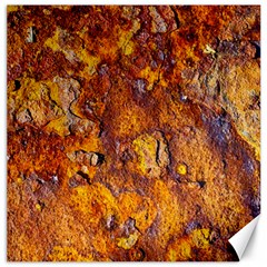 Rusted Metal Surface Canvas 16  X 16  