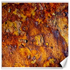 Rusted Metal Surface Canvas 20  X 20  