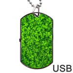 Shamrock Clovers Green Irish St  Patrick Ireland Good Luck Symbol 8000 Sv Dog Tag USB Flash (One Side) Front