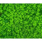 Shamrock Clovers Green Irish St  Patrick Ireland Good Luck Symbol 8000 Sv Deluxe Canvas 14  x 11  14  x 11  x 1.5  Stretched Canvas