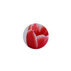 Red Tulip Watercolor Painting 1  Mini Magnets by picsaspassion