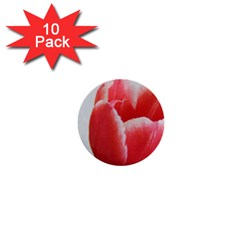 Red Tulip Watercolor Painting 1  Mini Buttons (10 Pack)  by picsaspassion