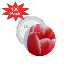 Red Tulip Watercolor Painting 1 75  Buttons (100 Pack)  by picsaspassion