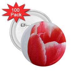 Red Tulip Watercolor Painting 2 25  Buttons (100 Pack)  by picsaspassion