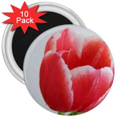 Red Tulip Watercolor Painting 3  Magnets (10 Pack)  by picsaspassion