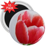 Red Tulip Watercolor Painting 3  Magnets (10 pack)  Front