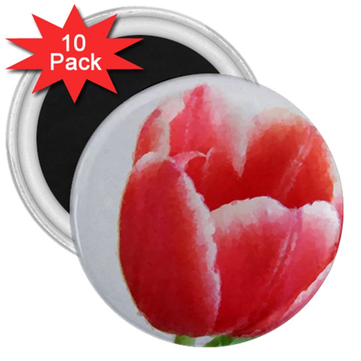 Red Tulip Watercolor Painting 3  Magnets (10 pack) 