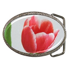 Red Tulip Watercolor Painting Belt Buckles by picsaspassion