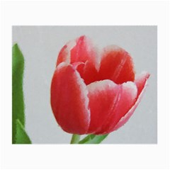 Red Tulip Watercolor Painting Small Glasses Cloth by picsaspassion