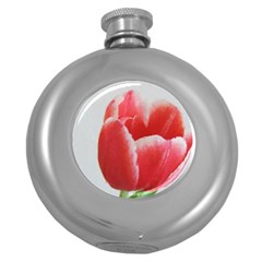 Red Tulip Watercolor Painting Round Hip Flask (5 Oz) by picsaspassion