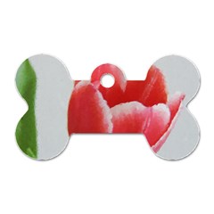 Red Tulip Watercolor Painting Dog Tag Bone (one Side) by picsaspassion