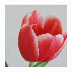 Red Tulip Watercolor Painting Medium Glasses Cloth (2-side) by picsaspassion